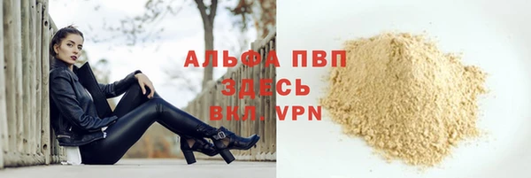 ECSTASY Горняк