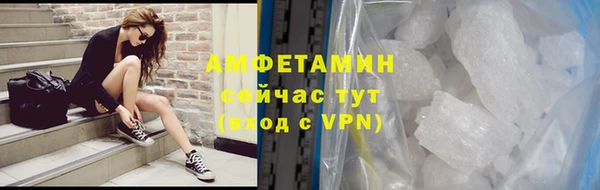 ECSTASY Горняк