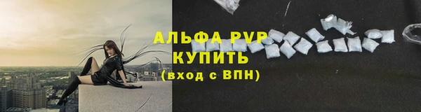 ECSTASY Горняк