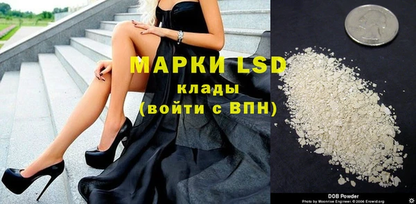 ECSTASY Горняк