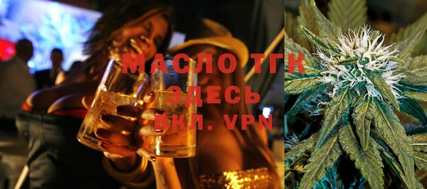 ECSTASY Горняк
