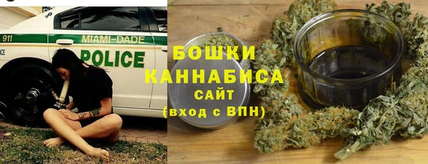 ECSTASY Горняк