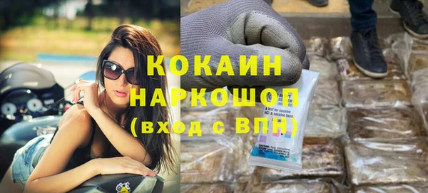 стафф Тайга