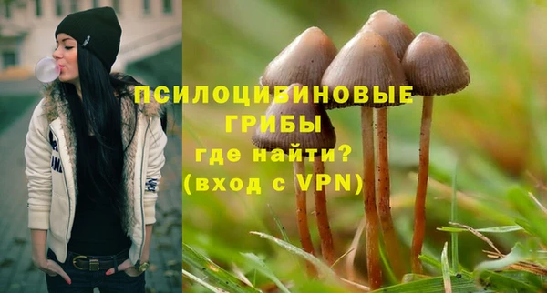 jwh Горно-Алтайск