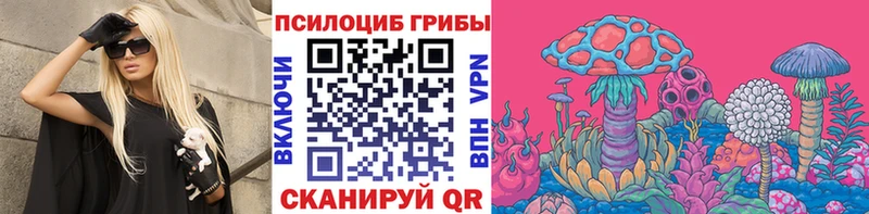 OMG онион  Мценск  Галлюциногенные грибы прущие грибы  как найти закладки 